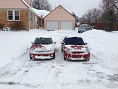 Minis in the snow.